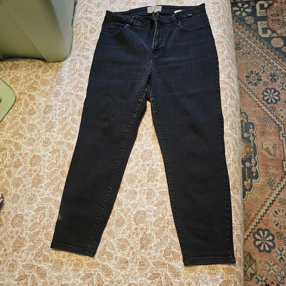 Everlane Curvy High Waist Crop Classic Black Skinny Jeans